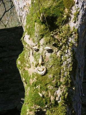 erzählender Baum auf Burg Bilstein: Foto Susanne Thomas